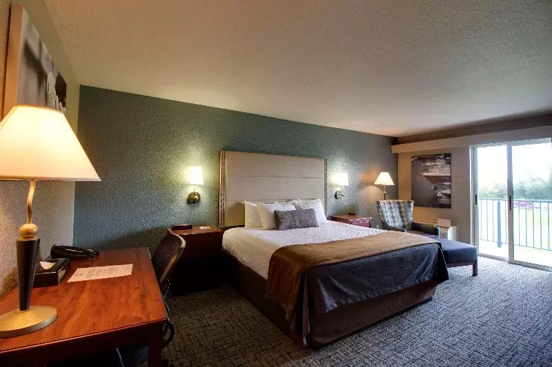 سوئیت پریمیوم, Homewood Suites By Hilton San Antonio Riverwalk/downtown