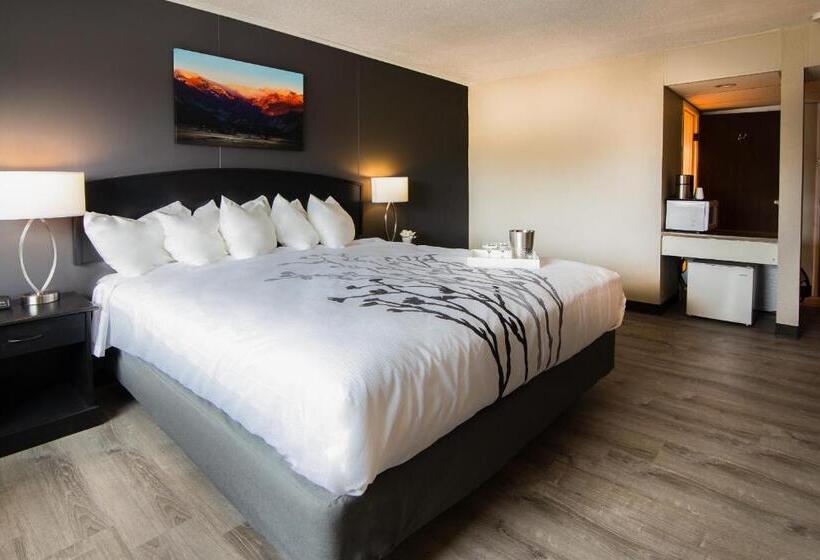 חדר סטנדרט עם מיטת קינג, Expedition Lodge Estes Park