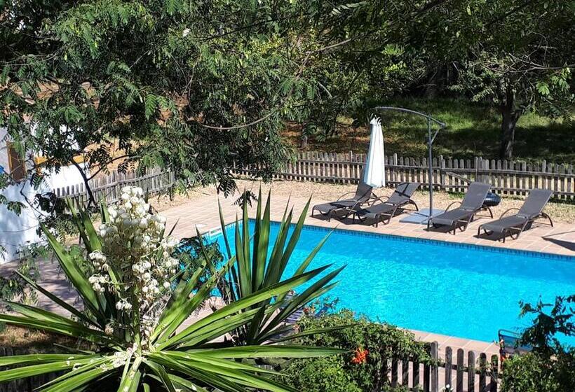 豪华房间, Cortijo Los Conquistadores