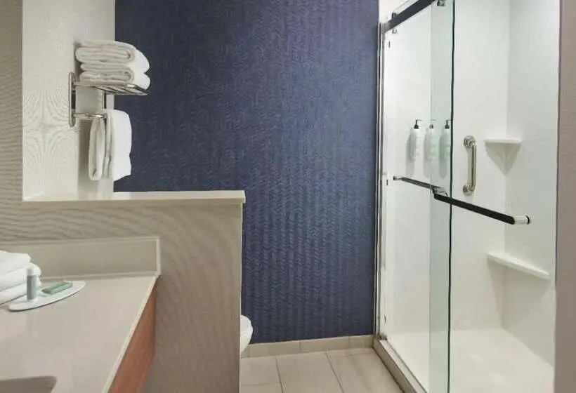 スタンダードスタジオ, Fairfield Inn & Suites Locust Grove I 75 South