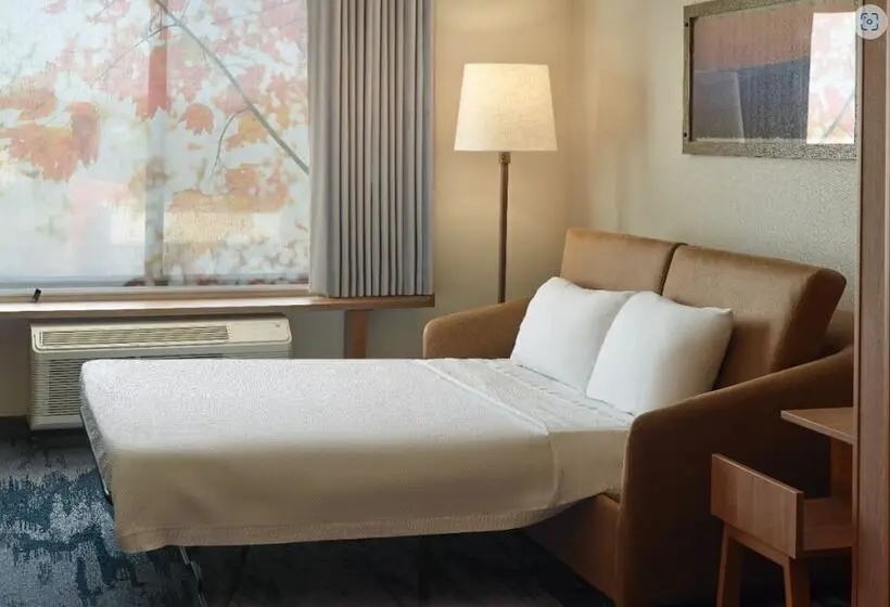 スタンダードスタジオ, Fairfield Inn & Suites Locust Grove I 75 South