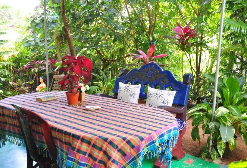 家庭间, Another World Hostel Sigiriya