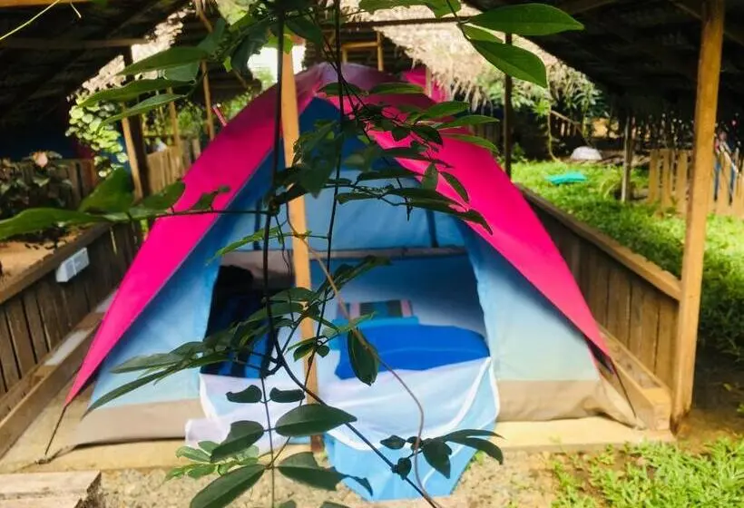 Standard Tent, Another World Hostel Sigiriya