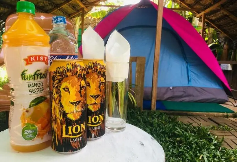 Standard Tent, Another World Hostel Sigiriya