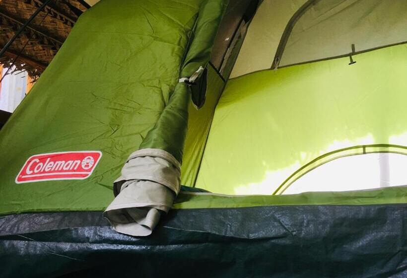 Standard Tent, Another World Hostel Sigiriya