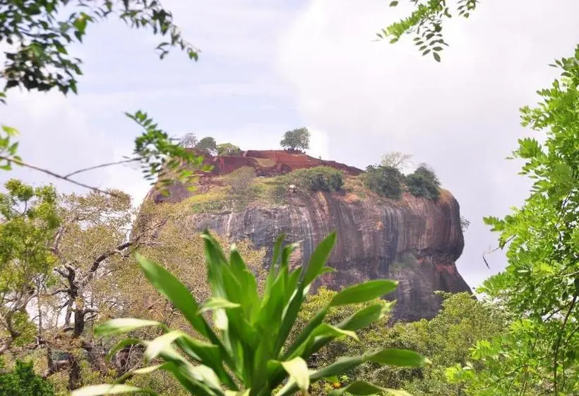 デラックスルーム, Another World Hostel Sigiriya