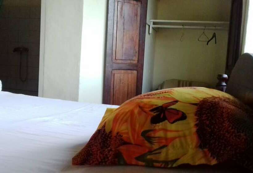 بانگلوی استاندارد, Le Tournesol