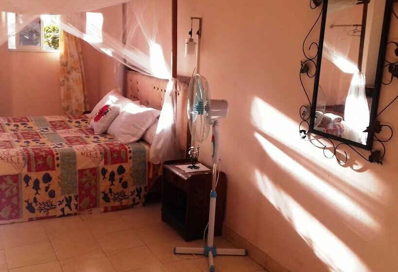 استودیو کامفورت, Le Tournesol