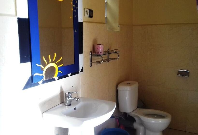 استودیو کامفورت, Le Tournesol