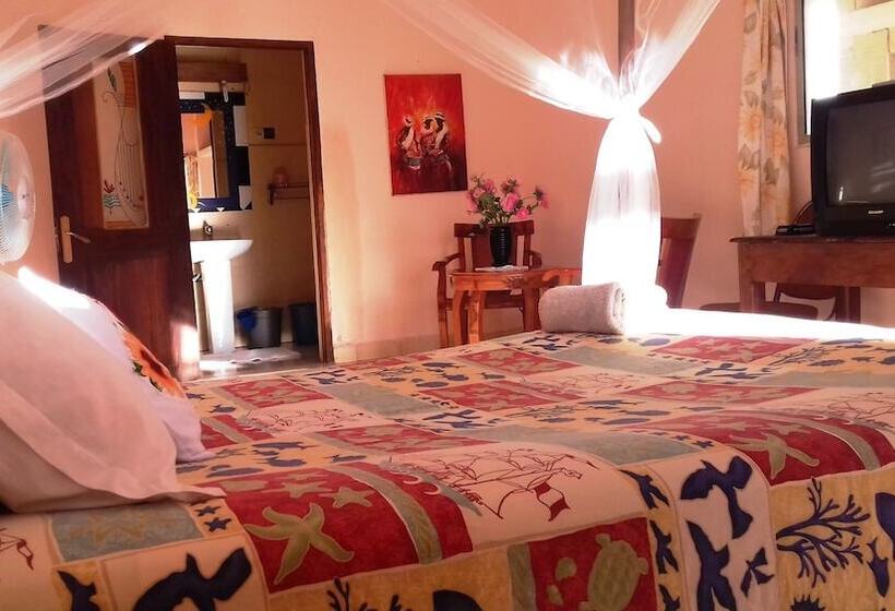 استودیو کامفورت, Le Tournesol