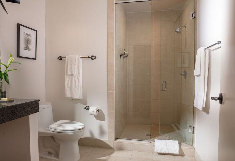 اتاق استاندارد با 2 تخت دوبل, International House