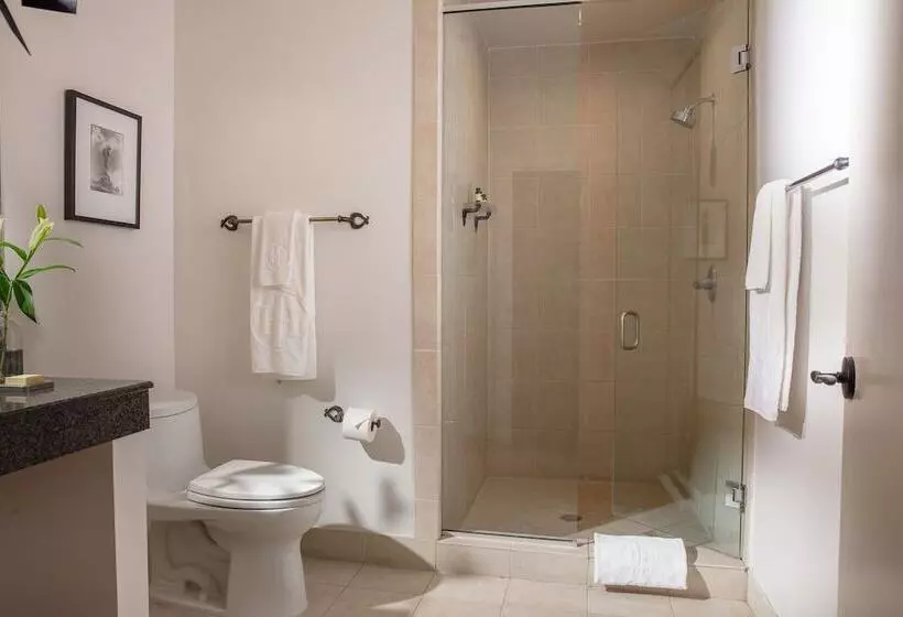 اتاق استاندارد با 2 تخت دوبل, International House