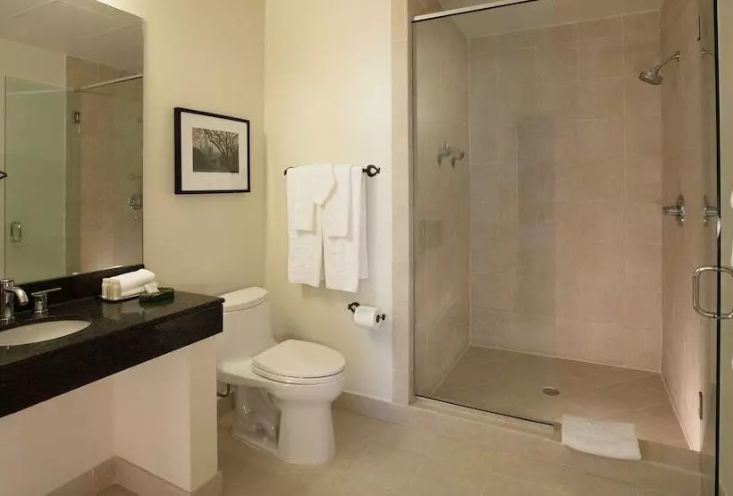 Premium Room City View, International House