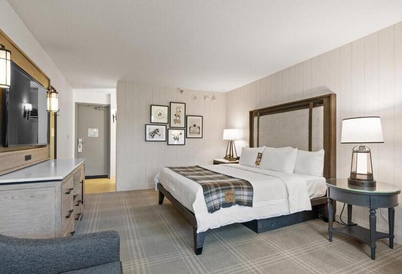 חדר סטנדרט עם מיטת קינג, Knott S