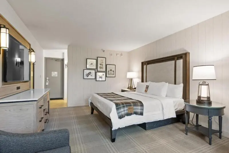 Standard Room King Size Bed