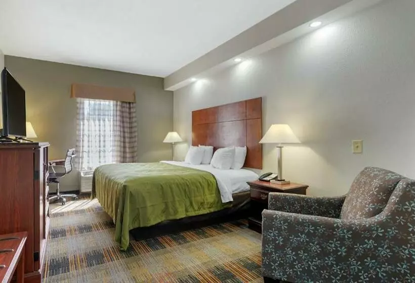 キングサイズベッドのスタンダードルーム, Quality Inn Newnan   Atlanta South
