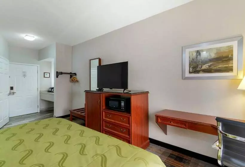 キングサイズベッドのスタンダードルーム, Quality Inn Newnan   Atlanta South