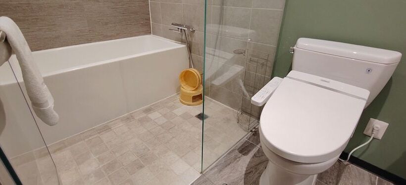 Полулюкс, Fujitaya Querétaro