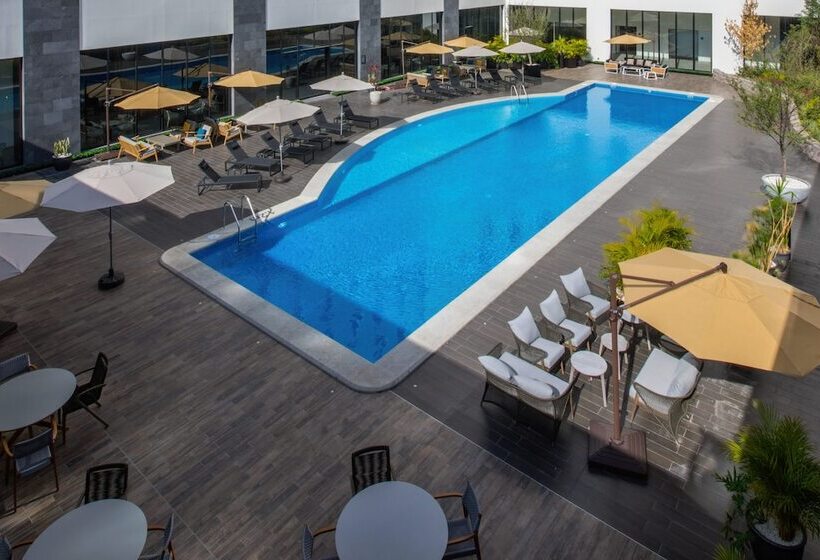 Президентский Люкс, Fujitaya Querétaro