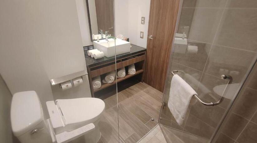 Номер Стандарт, Fujitaya Querétaro