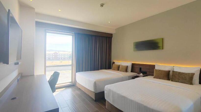 Quarto Estandar, Fujitaya Querétaro