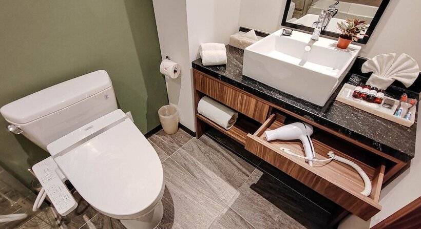 Полулюкс, Fujitaya Querétaro