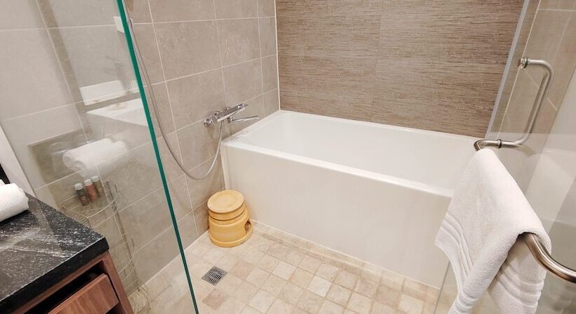 Номер Deluxe, Fujitaya Querétaro