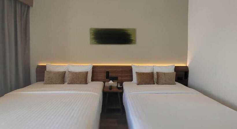 Номер Superior, Fujitaya Querétaro