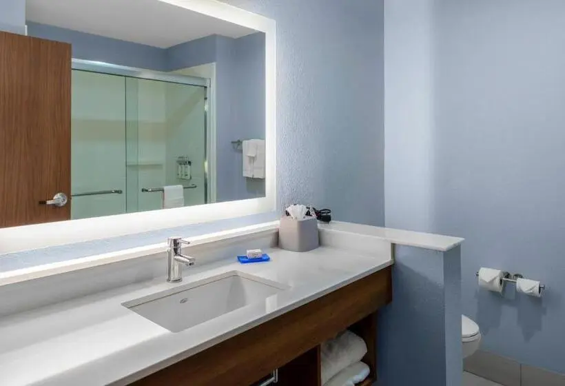Standard-huone King-vuode, Holiday Inn Express & Suites Leander, An Ihg
