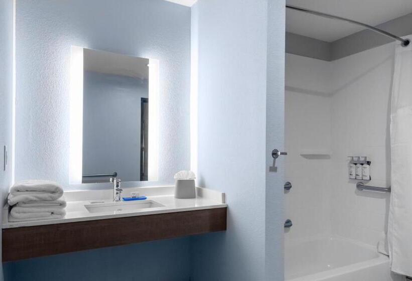 장애인을 위한 스탠다드 룸, Holiday Inn Express & Suites Leander, An Ihg