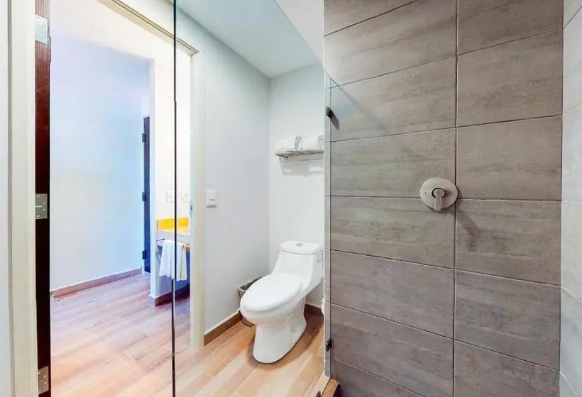 اتاق استاندارد با 2 تخت دوبل, Sleep Inn Queretaro
