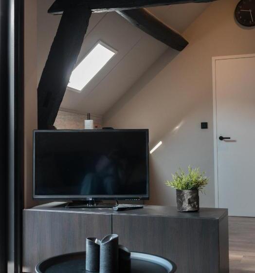 סטודיו סטנדרט עם מרפסת, Carré Hotel Zuid Limburg