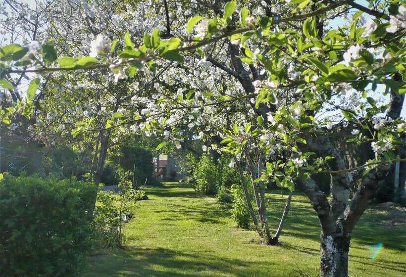 スタンダードルーム, Chambres D Hôtes Anne Marie