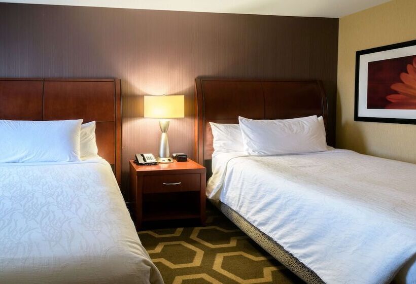 带2个双人床的标准工作室, Hilton Garden Inn Kennett Square