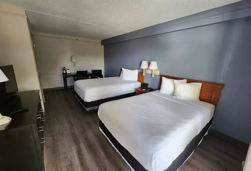デラックスルーム, La Quinta Inn By Wyndham Tampa Bay Pinellas Park Clearwater
