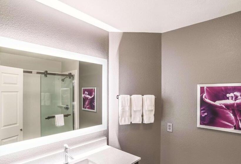 سوئیت با تخت بزرگ, La Quinta By Wyndham Flagstaff