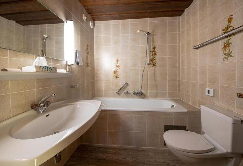 스탠다드 룸, Haus Gamberg