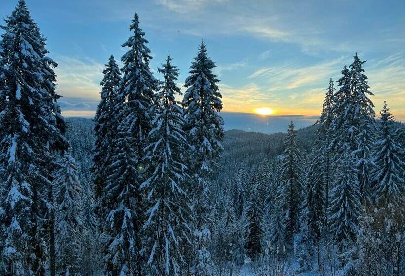 غرفة قياسية مطلة على الجبل, Kamena Pamporovo