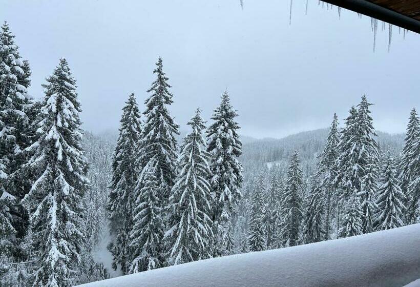 غرفة قياسية مطلة على الجبل, Kamena Pamporovo