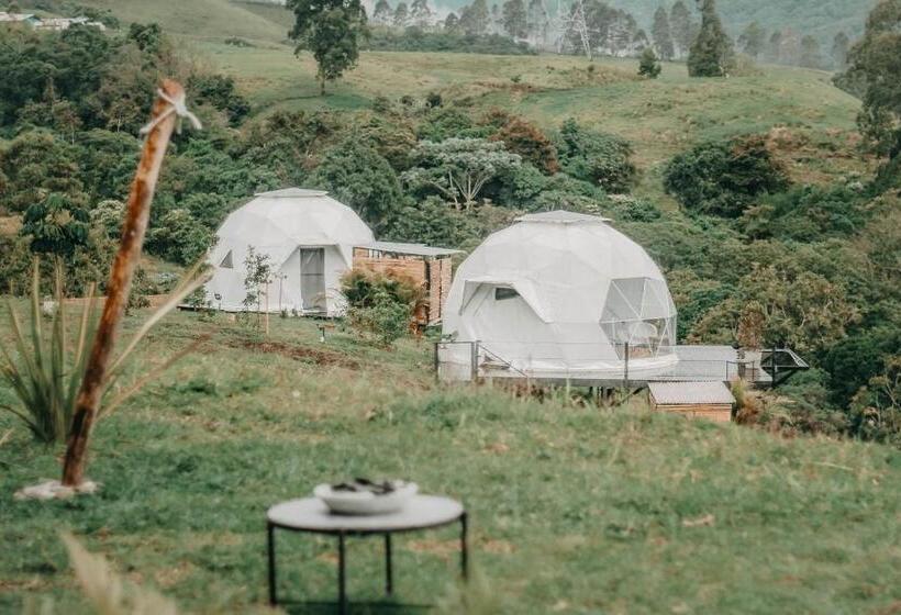 Standard Tent, Ecohotel Monte Tierra Habitaciones Y Glamping