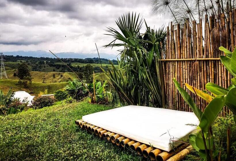 豪华房间, Ecohotel Monte Tierra Habitaciones Y Glamping