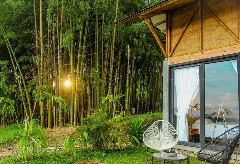 스탠다드 룸, Ecohotel Monte Tierra Habitaciones Y Glamping
