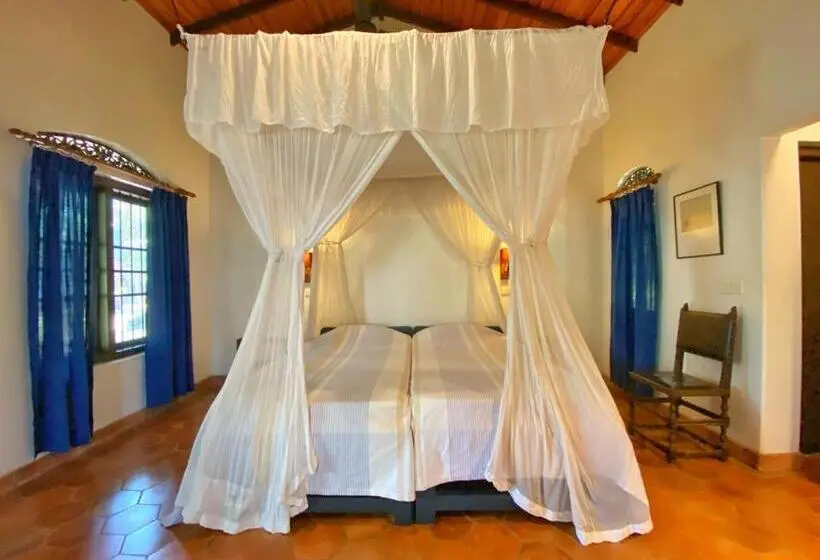 اتاق سوپریور یک تخته, Ging Oya Lodge