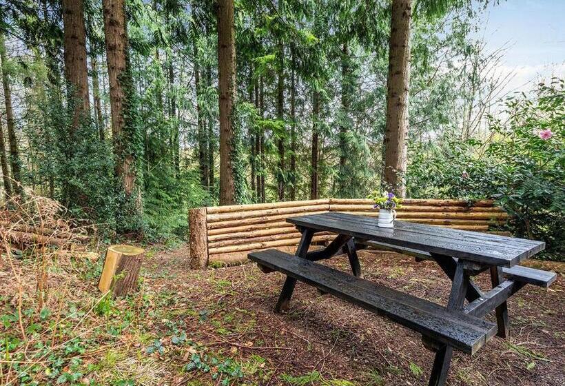 Dom 1 Sypialnia, Bulworthy Forest Lodges