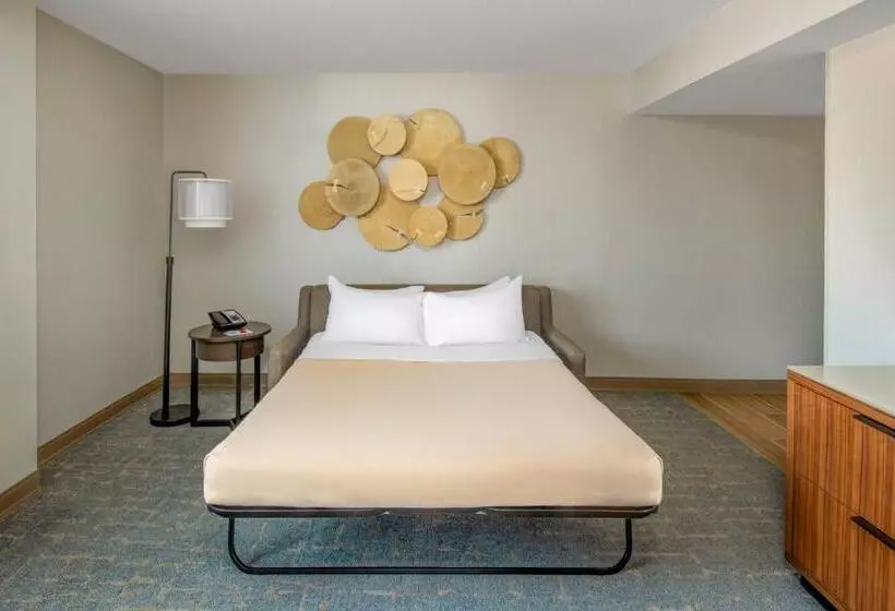 اتاق استاندارد با تخت بزرگ, Madison Marriott West
