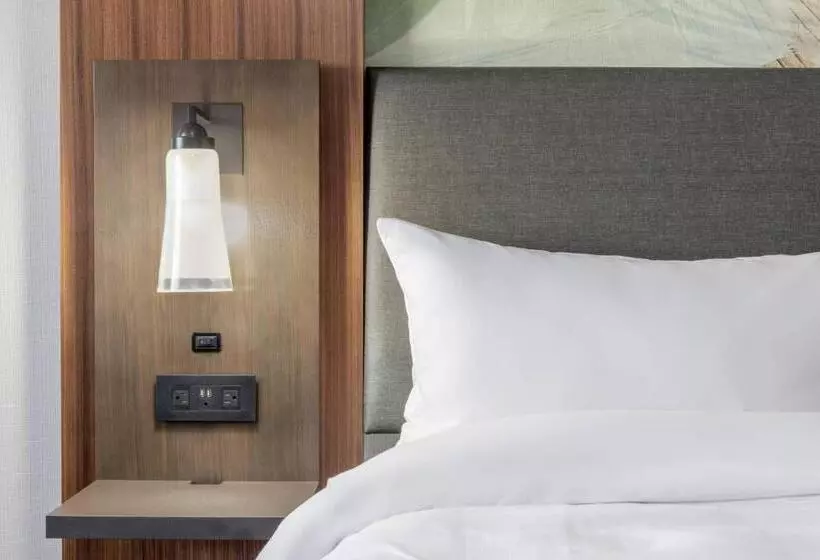 اتاق استاندارد با تخت بزرگ, Madison Marriott West