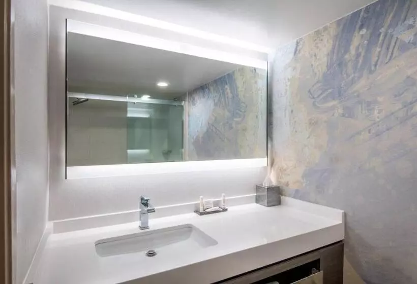 اتاق استاندارد, Madison Marriott West
