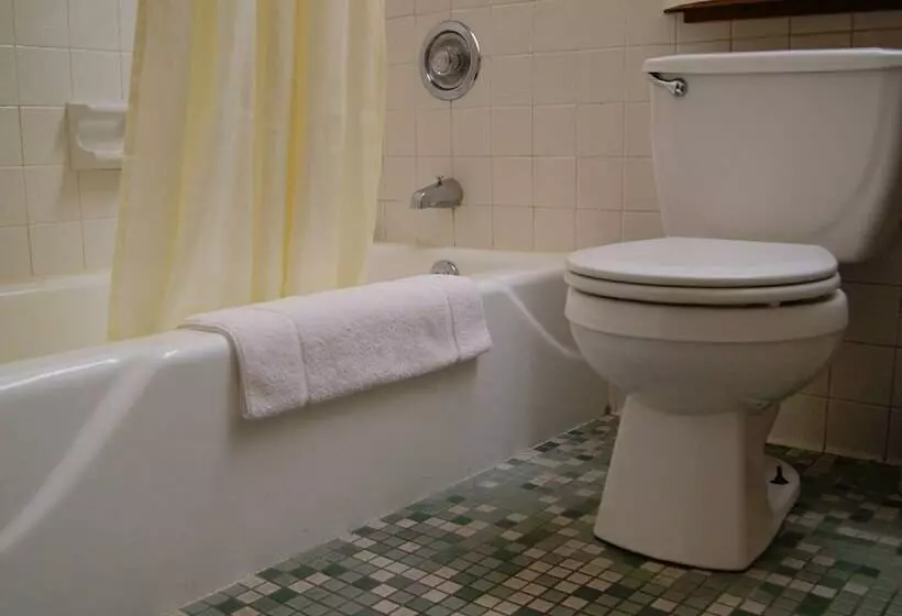 اتاق استاندارد با 2 تخت دوبل, Meadow Court Inn  Ithaca