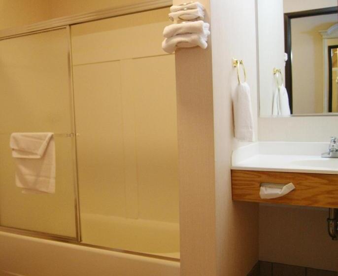 غرفة قياسية لذوى الاحتياجات الخاصة, Meadow Court Inn  Ithaca