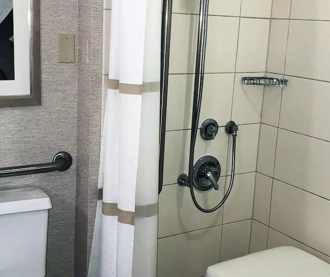 اتاق استاندارد, Rochester Marriott Mayo Clinic Area